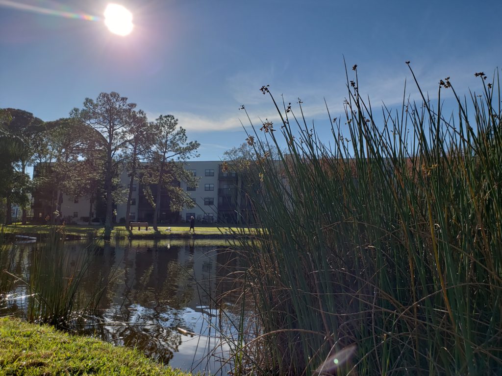 20190118_095235 Five Towns Action Realty